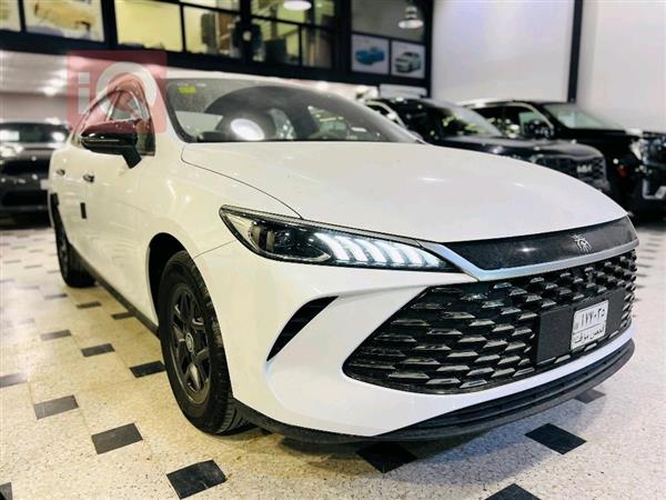 بي واي دي Qin Plus 2025 للبيع في العراق - النجف